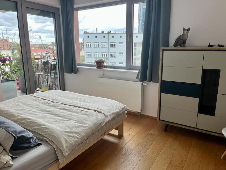 Apartment In Historical Center With Park View Plzeň Exterior foto