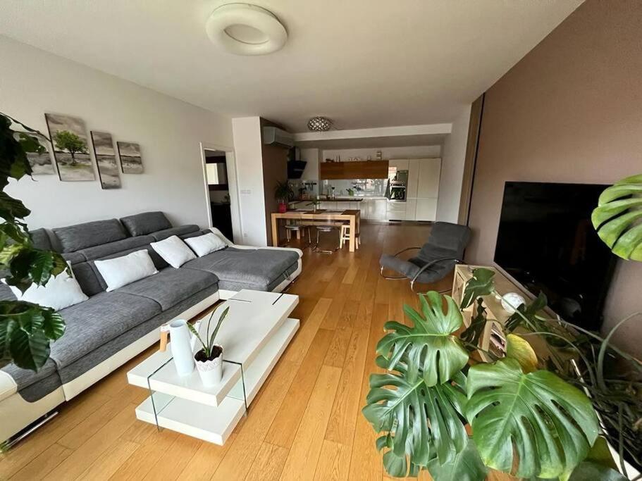 Apartment In Historical Center With Park View Plzeň Exterior foto